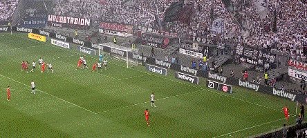 1659734005694007329.gif 动画 (3287).gif